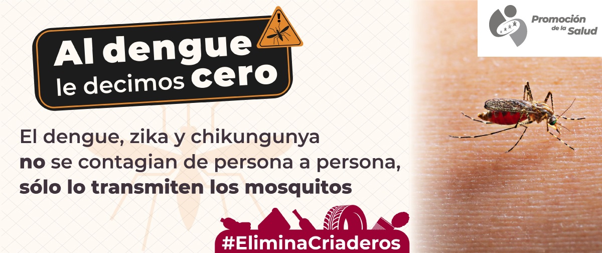 campaña